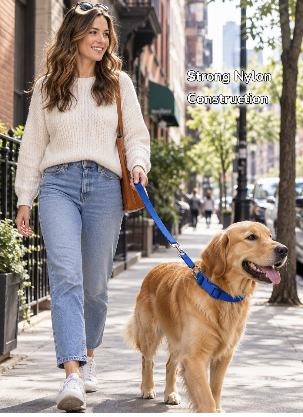 Custom Nylon Dog Harness, Collar & Leash Set.jpg